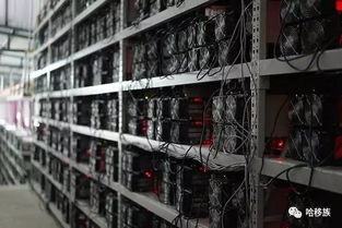 Vast cryptocurrency mining farm with rows of servers generating Ethereum and Bitcoin