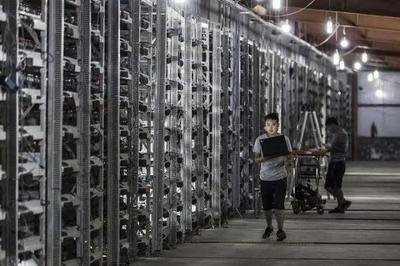 A large-scale mining farm powered by solar panels, demonstrating the integration of renewable energy in cryptocurrency mining.